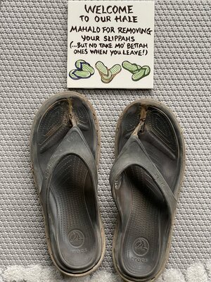 IMG_3846.jpeg