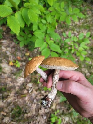 20230903_175613.jpg