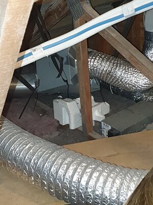 20230904_184703.jpg
