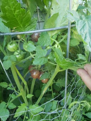 20230904_103501[1].jpg