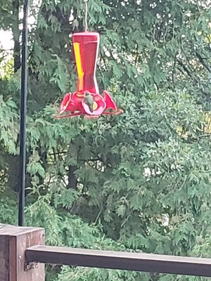 20230907_072045[1].jpg