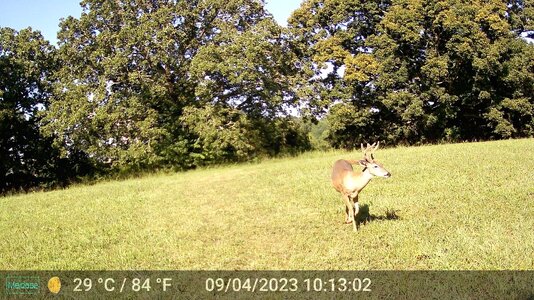 DSCF0768.JPG