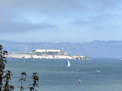 IMG_8952.jpeg