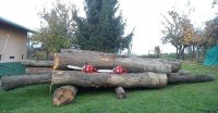2016 firewood1.JPG