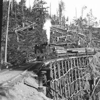 log train.jpg