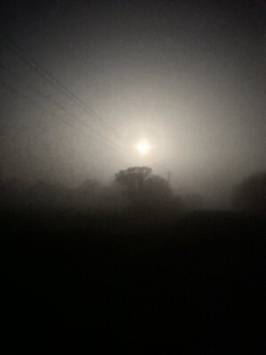 IMG_9127.jpeg