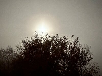 IMG_9125.jpeg