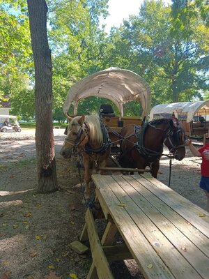 IMG_20230930_130606.jpg