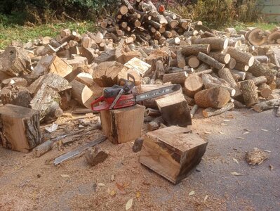 firewood 10:23.jpg