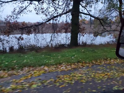 20231025_072259.jpg