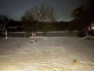 IMG_9245.jpeg