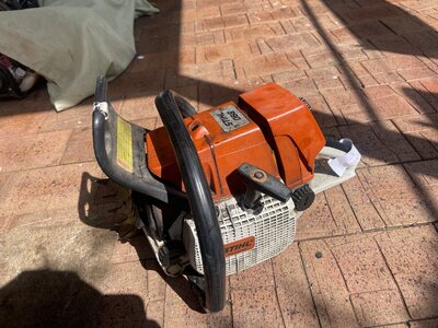 IMG_2260.jpeg