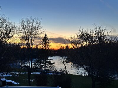 IMG_9264.jpeg