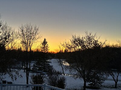 IMG_9268.jpeg