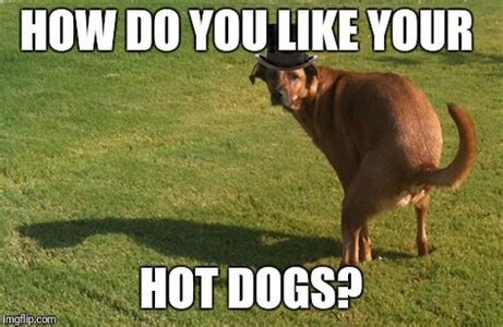 IMG_4002.jpeg