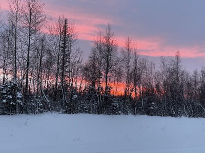 IMG_4281.jpeg