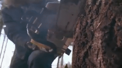 chainbrake.gif