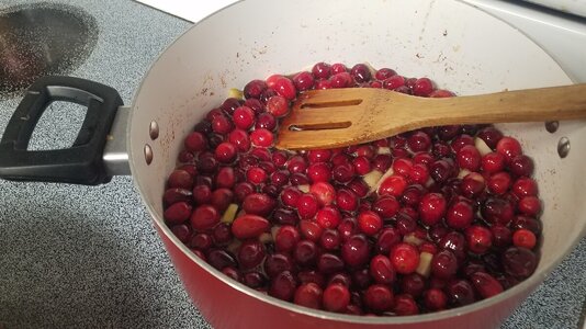 20231122_171240.jpg