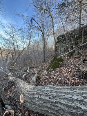 IMG_8432.jpeg