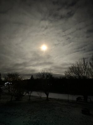 IMG_9285.jpeg