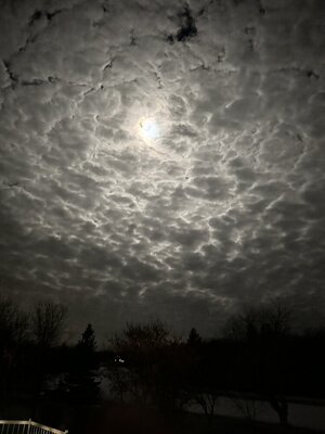 IMG_9291.jpeg