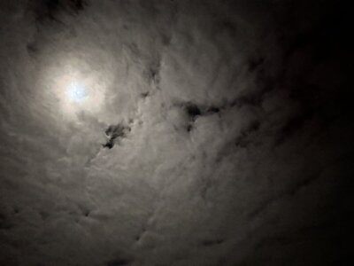 IMG_9300.jpeg