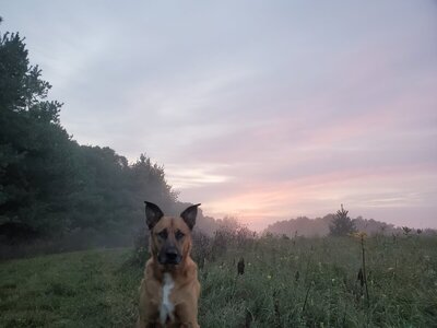 20230921_064042.jpg