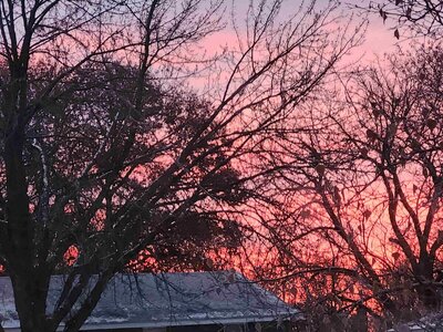 20231206_072014.jpg
