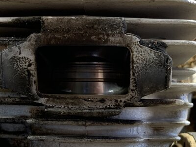 IMG_7222.jpeg