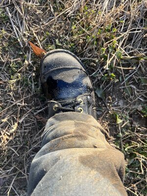 IMG_8507.jpeg