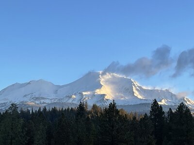 IMG_0414.jpeg