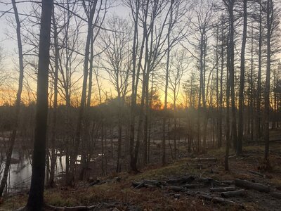 DE65E441-60CA-4ADA-9B16-5D12A9CEE880.jpeg