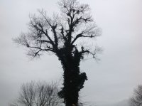 image.jpeg