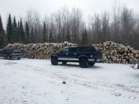 wood pile.jpg