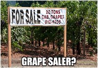 grape saler.jpg