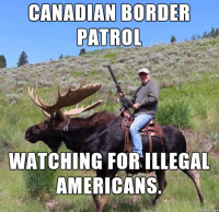 CDN border patrol.png