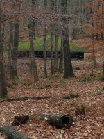 IMG_1494.JPG