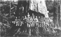 22 loggers 1884.jpg