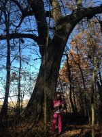 IMG_6475.JPG