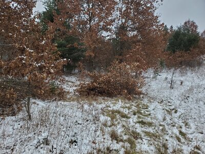 20231210_135819.jpg