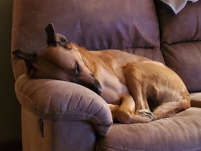 20231218_061315.jpg