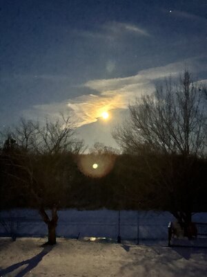 IMG_9363.jpeg