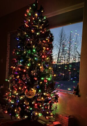 IMG_4393.jpeg