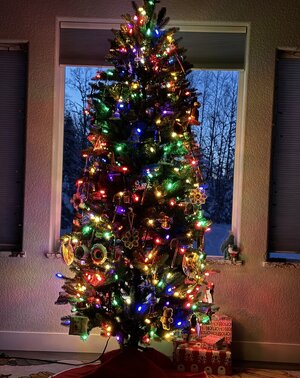 IMG_4392.jpeg