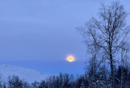 IMG_4396.jpeg