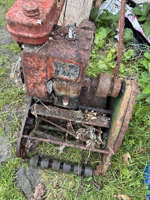 IMG_6720.jpeg