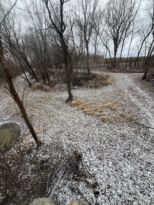 IMG_8612.jpeg