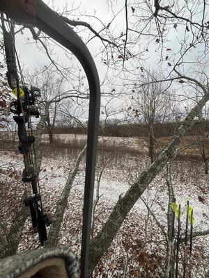 IMG_8613.jpeg