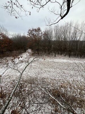 IMG_8614.jpeg