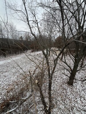 IMG_8615.jpeg